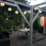 Forest Hattem *