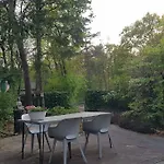 Forest Hattem *