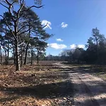 Forest Hattem Chalet