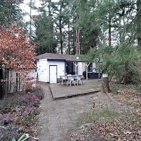Forest Hattem