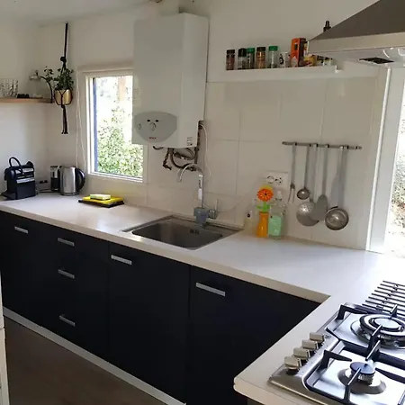 Dağ evi Forest Hattem