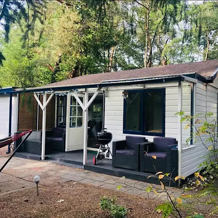 Forest Hattem