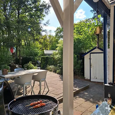 Forest Hattem *