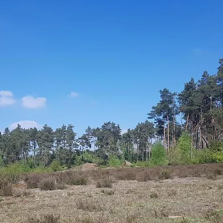 Forest Hattem *
