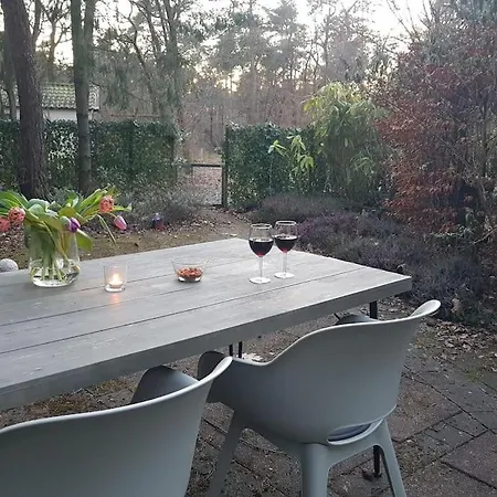 Dağ evi Forest Hattem Hattemerbroek