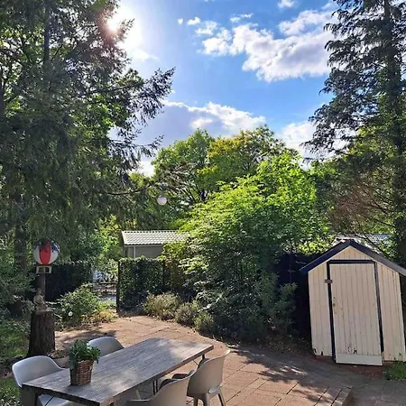Dağ evi Forest Hattem