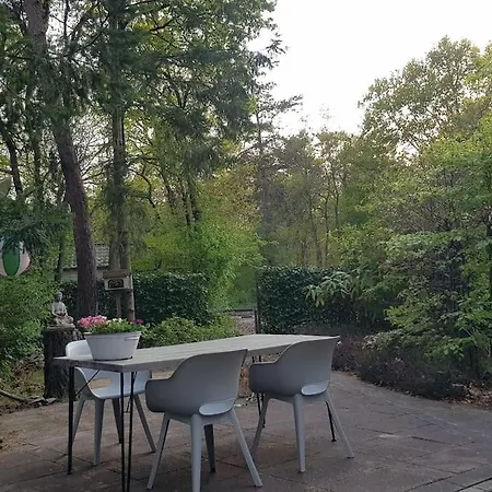 Forest Hattem *