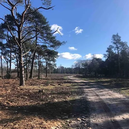 Forest Hattem Шале