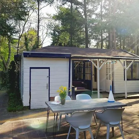 Forest Hattem * Hattemerbroek