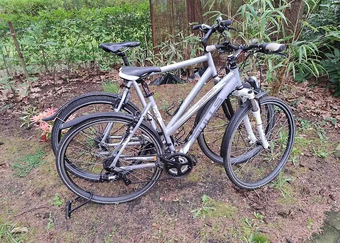 Forest Hattem Domek alpejski Hattemerbroek