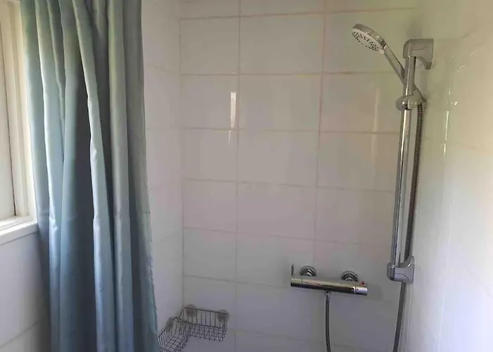 Forest Hattem * Hattemerbroek