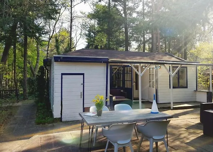 Forest Hattem * Hattemerbroek