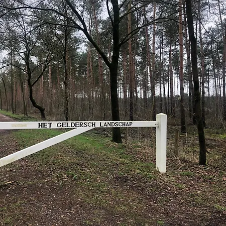 Forest Hattem *
