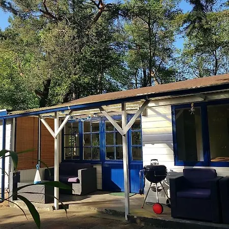 Chalet Forest Hattem Hattemerbroek