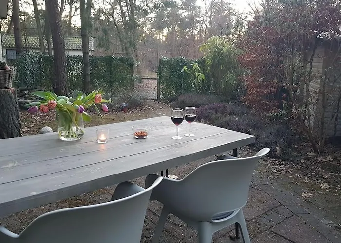 Chalet Forest Hattem Hattemerbroek