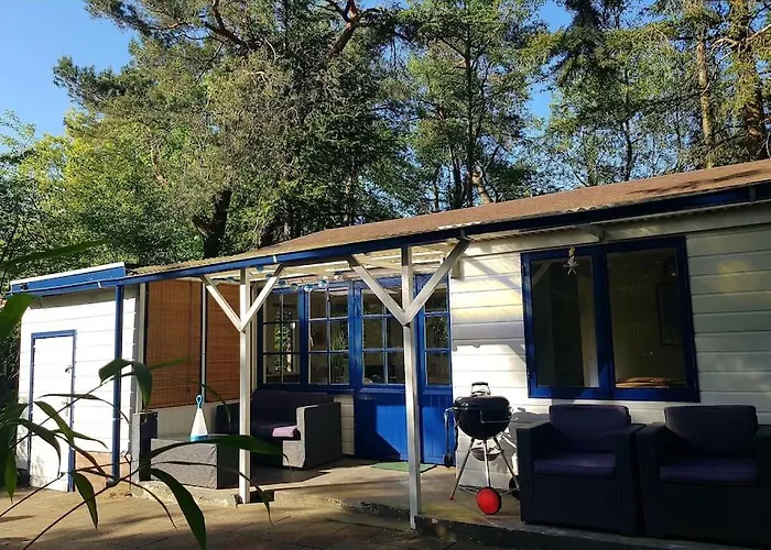 Chalet Forest Hattem Hattemerbroek